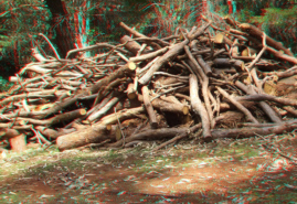 Sharp Depth of a Mountain Top Wood Pile after clearing for construction 3D anaglyph